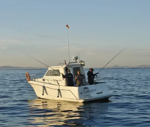 Actividades de Pesca